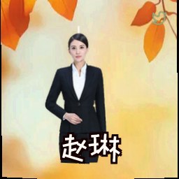 赵琳